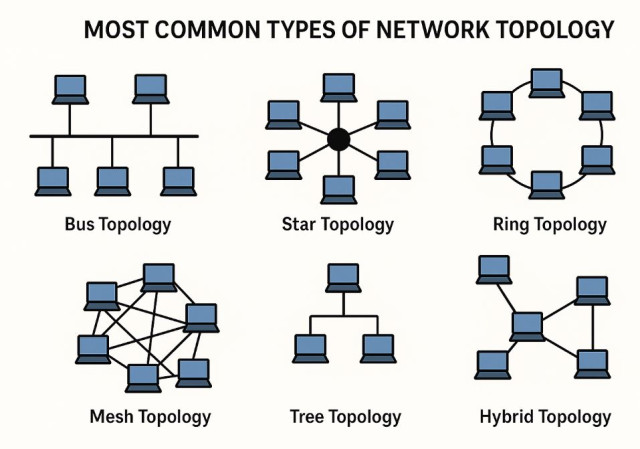 Most-Common-Types-of-Network-Topology.jpg